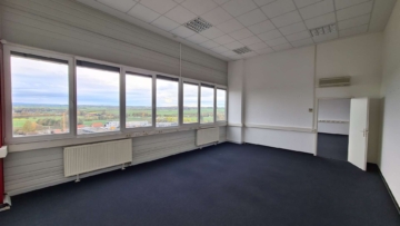 Außergewöhnliche Gewerbeflächen sofort verfügbar - Gute Belichtung (5524)