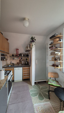 Charmante Zweiraumwohnung in Bad Cannstatt - Küche (6245)